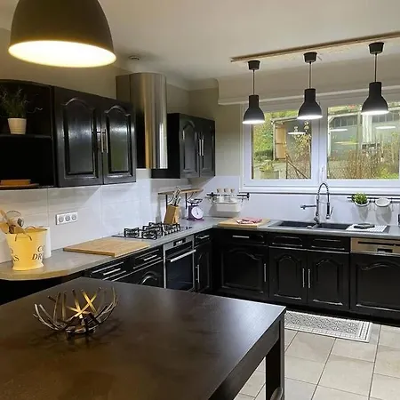Joli Logement Avec Terrasse La Cigale 6 A 8 Personnes Orbey Exterior photo